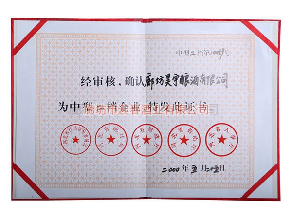 中型二檔企業證書